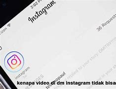 Kenapa Instagram Lite Tidak Bisa Live